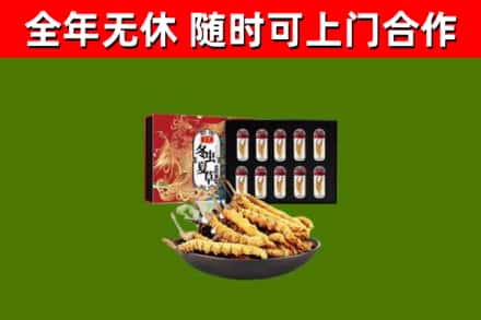 平顶山市回收冬虫夏草价格